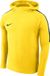 Nike Academy 18 Sweater Met Kap Kinderen - Geel / Antraciet