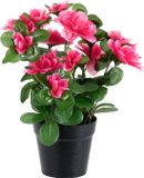 Louis Maes Azalea Kunstplant - donker roze - in binnenpot - H25 cm