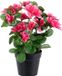 Louis Maes Azalea Kunstplant - donker roze - in binnenpot - H25 cm