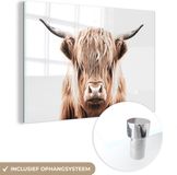 MuchoWow® Glass Painting 30x20 cm - Acrylic Glass Painting - Animals - Scottish Highlander - Cow - Photo on Glass - Paintings