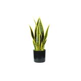 Sansevieria Kunstplant van polyethyleen met 12 bladeren, hoogte 45 cm, kunstplant voor binnen, pot met mos Ø12,5 x 11,5 cm, woondecoratie