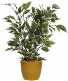 Mica Decorations Ficus plante artificielle - vert/blanc - 40 cm - avec pot de fleurs - jaune - céramique - D13.5 et H12.5 cm