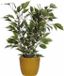 Mica Decorations Ficus plante artificielle - vert/blanc - 40 cm - avec pot de fleurs - jaune - céramique - D13.5 et H12.5 cm