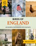 Birds of England: A Birdwatching Picture Book with Fun Facts and Photography for Kids, Adults & Birders