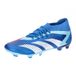 adidas Predator Accuracy.2 FgVoetbalschoenen