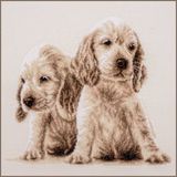 Vervaco Telpakket kit - 2 Puppies - PN-0205414 - Borduren - Borduurpakket - Borduurpakket volwassenen