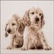Vervaco Telpakket kit - 2 Puppies - PN-0205414 - Borduren - Borduurpakket - Borduurpakket volwassenen