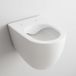 megabadproficollection Art Wandtoilet, Spoelloos, Zonder Toiletbril
