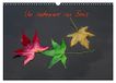 Un Calvendo Un automne au Bois (Calendrier mural 2027 DIN A3 vertical), CALVENDO calendrier mensuel