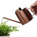 Arrosoir en inox avec bec verseur long