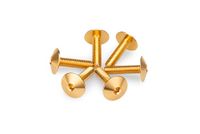 Puig 21766O schroevenset voor koepels, geanodiseerd, goud