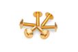 Puig 21766O schroevenset voor koepels, geanodiseerd, goud