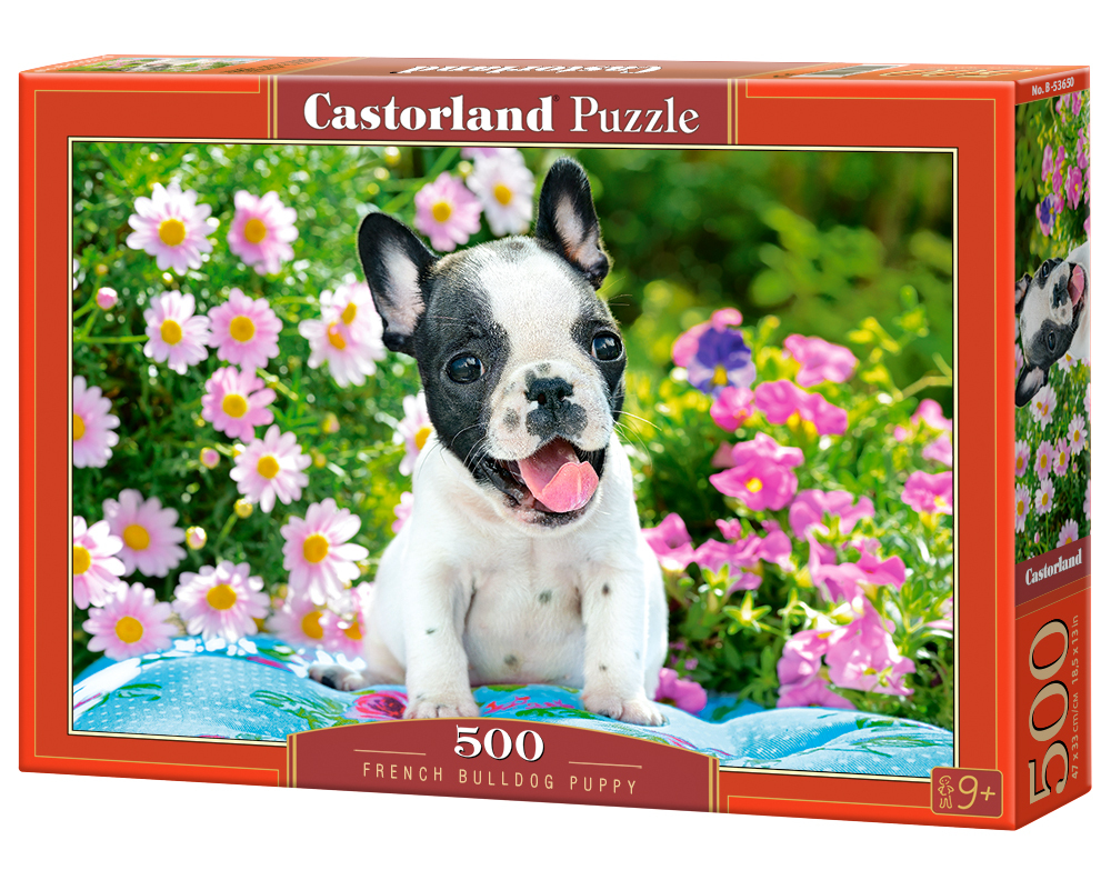 Castorland French Bulldog Puppy - 500pcs