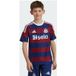 Adidas Newcastle United FC 24/25 Uitshirt Kids
