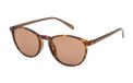 Prego Karen Simonsen Lunettes de lecture Havane +2.50