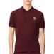 Lacoste T-shirt Bord-cotes