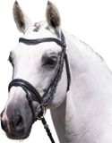 Premier Equine Cassano Teugels voor paard - Cob - Zwart - Leer