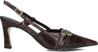 Notre-V Hakken 67212 Bruin