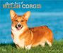 For Browntrout For the Love of Welsh Corgis 2027 14 X 24 Inch Monthly Deluxe Wall Calendar