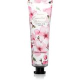 Accentra Essential Botanicals