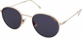 Carrera 246/S J5GIR zonnebril Unisex Goudkleurig Titanium Grijs