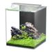 Smulders Aquatlantis kubus curve essential 65l (led biof) Smulders
