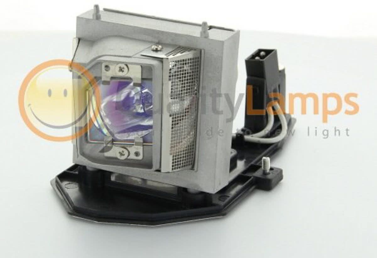 Optoma BL-FU190D / Optoma SP.8TM01GC01 Beamerlamp (bevat originele UHP lamp)