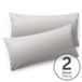Blumtal - Set Van 2 Kussenslopen - Superzachte Premium Jersey Kussenhoes - 100% Katoen - 40 x 60 cm - Lichtgrijs