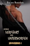 Schwul verführt und unterworfen: Sammelband 1