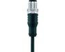 Escha Connecteur capteur/actionneur 8043817