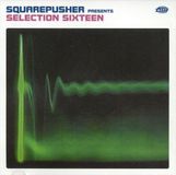 Warp Records Warp Selection 16