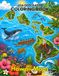 USA GEOGRAPHY COLORING BOOK HAWAII MAPS
