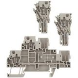 Weidmüller Bloc de jonction double étage ZDT 2.5/2 1815150000 beige foncé 50 pc(s)