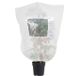 Famanu - Vorsthoes voor Planten - Bescherming tegen kou en vorst - Herbruikbaar nonwoven materiaal - Groen 1 stuk