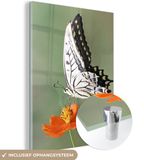 MuchoWow® Glass Painting 90x120 cm - Acrylic Glass Painting - White Butterfly on an Orange Flower - Photo on Glass - Paintings