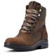 Ariat Dames Harper H2O Stal Schoenen Chocolade/Wilg Leer Maat 40.5
