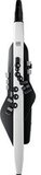 Roland AE-20 Aerophone digitaal blaasinstrument