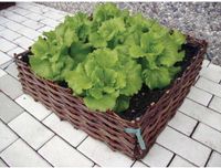 Verdemax Wilgentenen plantenbed - 60 x 60 x 20 cm