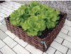 Verdemax Wilgentenen plantenbed - 60 x 60 x 20 cm
