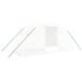 Icecat serre met stalen frame 8 m² 4x2x2 m