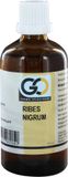 GO Gemmo Oplossingen GO Ribes nigrum bio 100 Milliliter