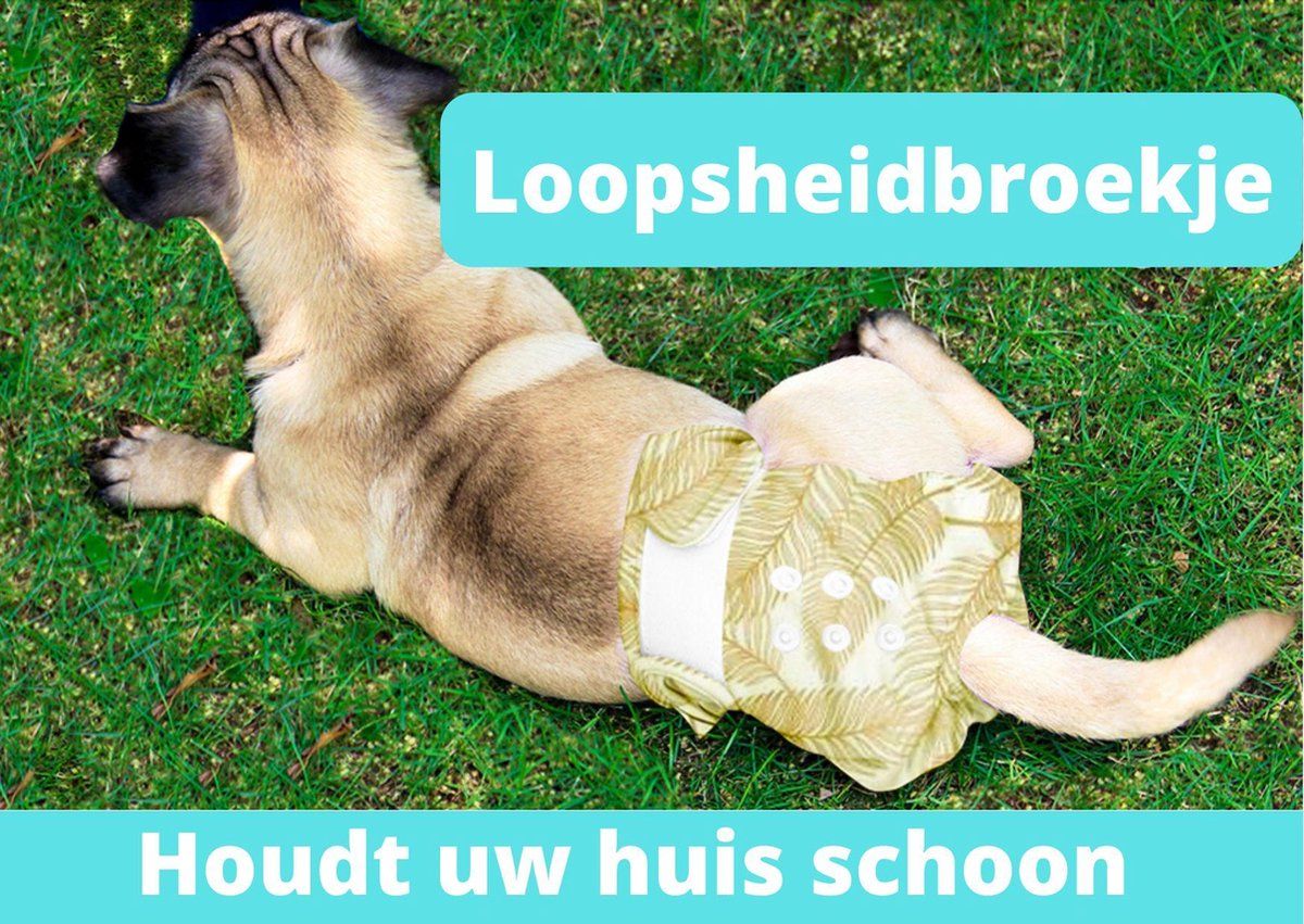 Sharon B Loopsheidbroekje hond - gouden palmprint - maat S