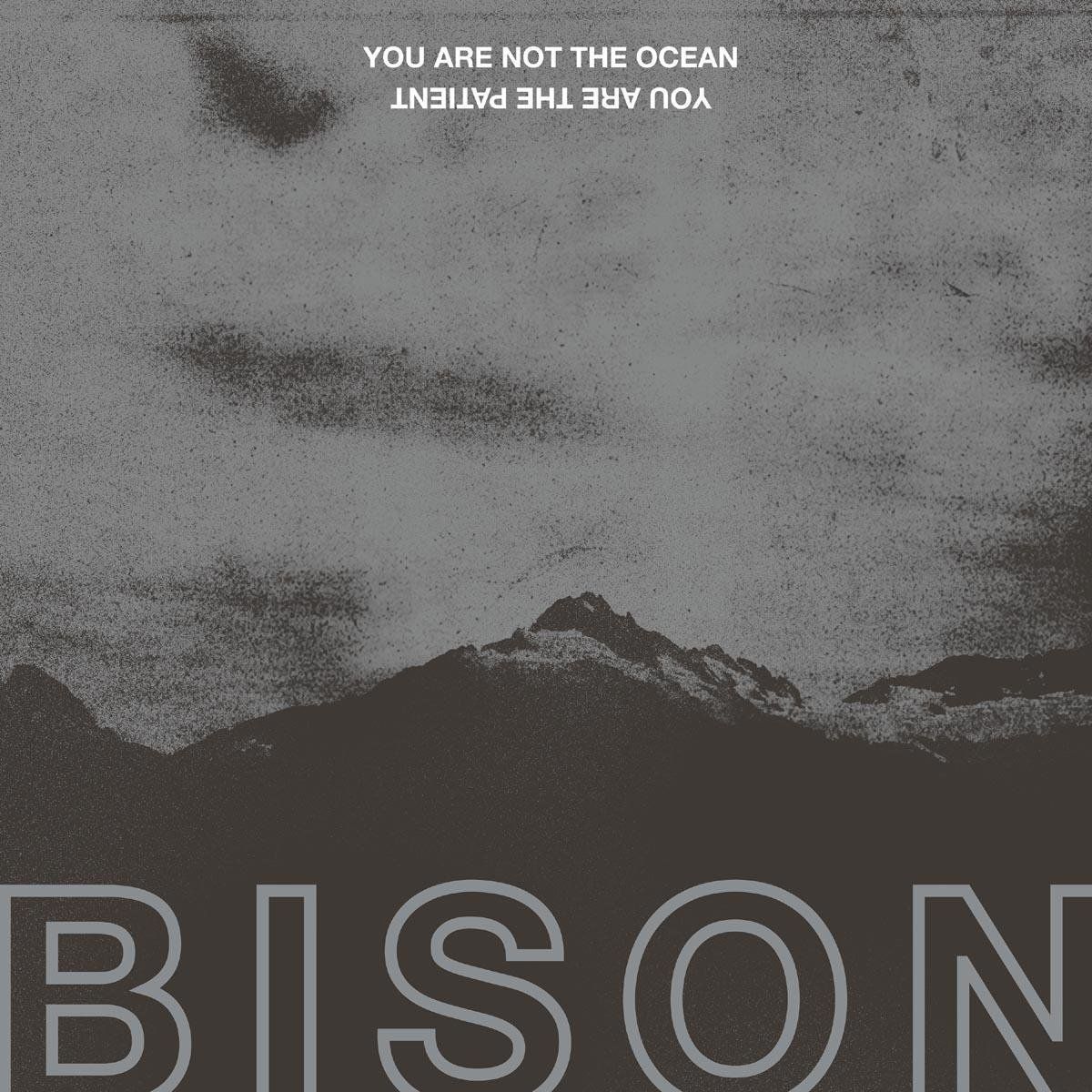 PIAS Nederland Bison - You Are Not The Ocean You Are The P