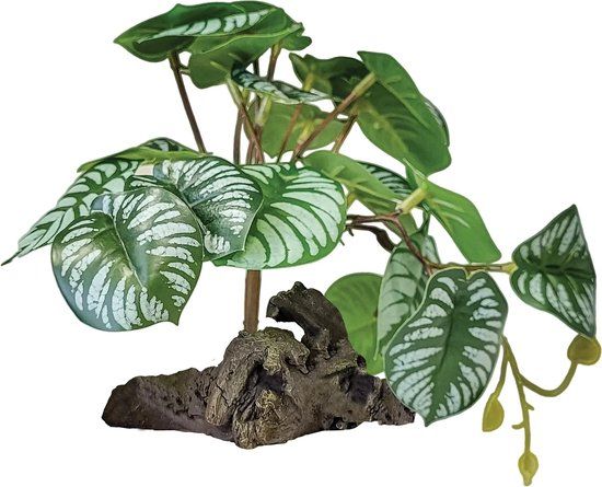 Repto Plant On Deco Begonia terrariumkunstplant 19 cm