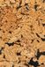 Kurk Behang Barcelona 3 mm dik - Naturel - Zwart - Bruin