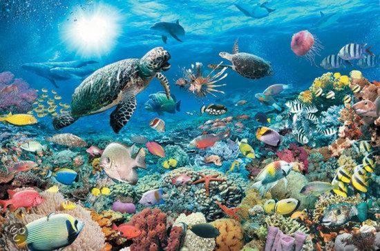 Ravensburger Leven in het koraalrif Puzzel (5000 stukjes)