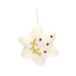 Pendentif de Noël étoile, feutre, blanc, env. 5,5 cm