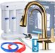 Ari Keukenmengkraan Ari Nordic, 3-weg met waterfilter, uitschuifbare douche, draaibaar, doré, messing