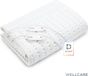 Wellcare WE167UBATHD Elektrische Warmtedeken - 2 Persoons - Eco Fleece - 160 x 150 cm