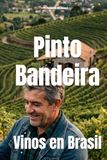 Pinto Bandeira: Vinos en Brasil